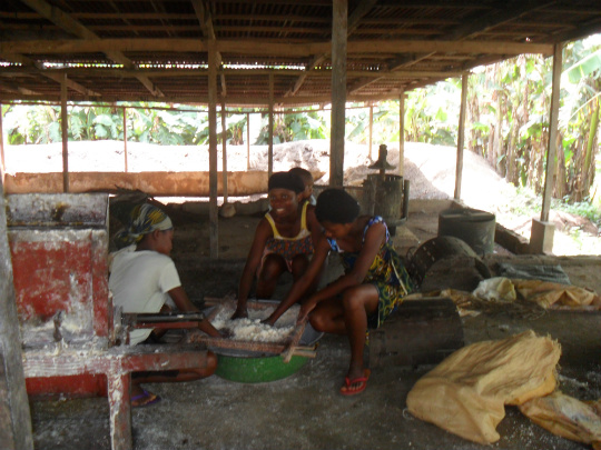 Community women talk as they work to process cassava into garri, a staple food in the local diet, at our agricultural processing facility.