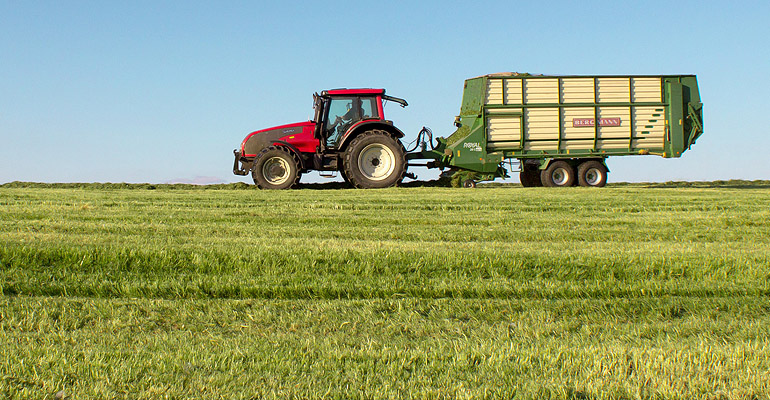 SBDC at FIU Plants Seeds for Growth with Local Agribusinesses.