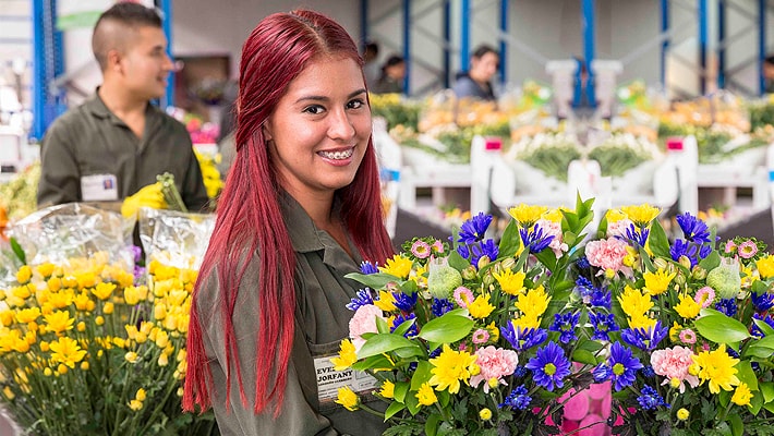 FIU Business analytics students find the intersection of data and dahlias.